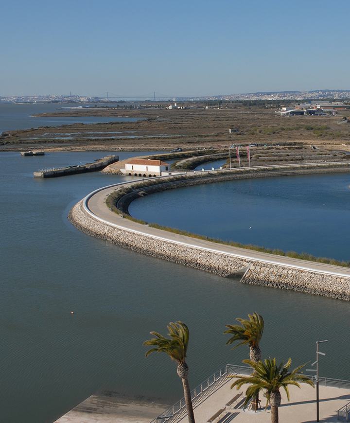 Montijo